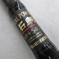 １０リアルパワー石鯛ＭＨー４５０